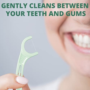 Plackers Micro Mint Dental Floss Picks with Travel Case