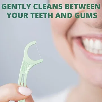 Plackers Micro Mint Dental Floss Picks with Travel Case