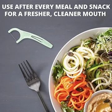 Plackers Micro Mint Dental Floss Picks with Travel Case