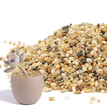 2.7 lb Coarse Sand Stone - Succulents and Cactus Bonsai DIY Projects Rocks, Decorative Gravel for Plants and Vases Fillers，Terrarium, Fairy Gardening, Natural Stone Top Dressing for Potted Plants.