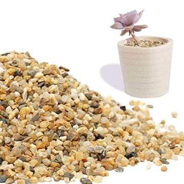 2.7 lb Coarse Sand Stone - Succulents and Cactus Bonsai DIY Projects Rocks, Decorative Gravel for Plants and Vases Fillers，Terrarium, Fairy Gardening, Natural Stone Top Dressing for Potted Plants.