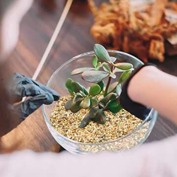 2.7 lb Coarse Sand Stone - Succulents and Cactus Bonsai DIY Projects Rocks, Decorative Gravel for Plants and Vases Fillers，Terrarium, Fairy Gardening, Natural Stone Top Dressing for Potted Plants.