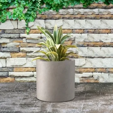 Modern Concrete Planter with Drainage Hole for Versatile Use