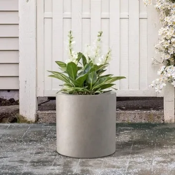 Modern Concrete Planter with Drainage Hole for Versatile Use