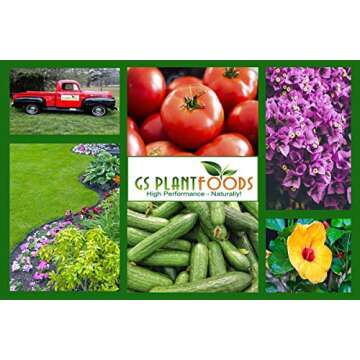 Omri Listed Fish & Kelp Fertilizer by GS Plant Foods (1 Gallon) - Organic Fertilizer for Vegetables, Trees, Lawns, Shrubs, Flowers, Seeds & Plants - Hydrolyzed Fish and Seaweed Blend