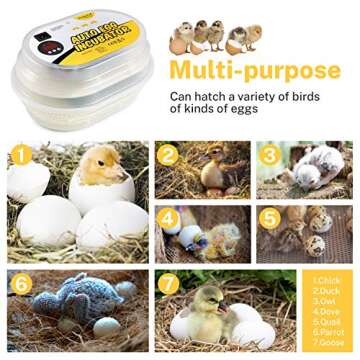 Magicfly Mini Egg Incubators for Hatching Eggs, with Automatic Egg Turning, 9-12 Eggs Hatching Incub...