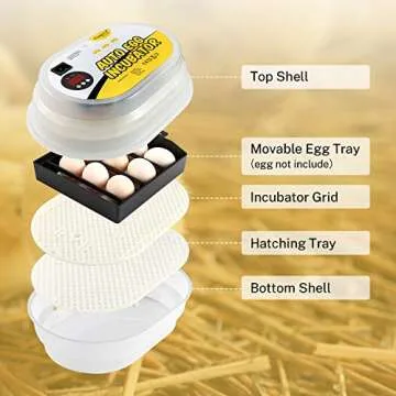 Magicfly Mini Egg Incubator with Automatic Egg Turning