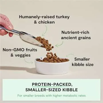 Open Farm Ancient Grains Dry Dog Food for Small Breeds - Chicken & Turkey Recipe, 4lb Bag