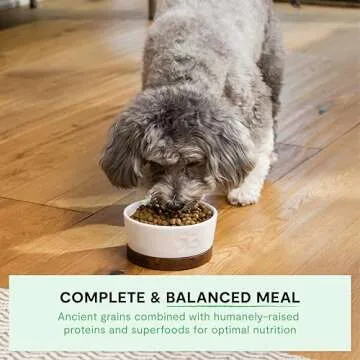 Open Farm Ancient Grains Dry Dog Food for Small Breeds