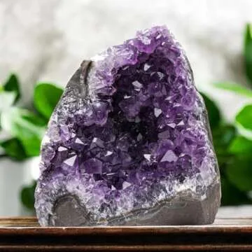 EMPORION Natural Amethyst (3 lb to 4 lb) - 4.5" to 7.5" Height - Crystal Clusters Stone from Uruguay Raw Geode Quartz - Deep Purple Color