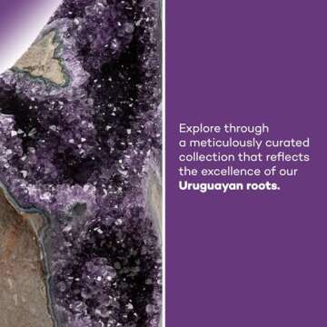 EMPORION Natural Amethyst (3 lb to 4 lb) - 4.5" to 7.5" Height - Crystal Clusters Stone from Uruguay Raw Geode Quartz - Deep Purple Color