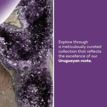 EMPORION Natural Amethyst (3 lb to 4 lb) - 4.5" to 7.5" Height - Crystal Clusters Stone from Uruguay Raw Geode Quartz - Deep Purple Color