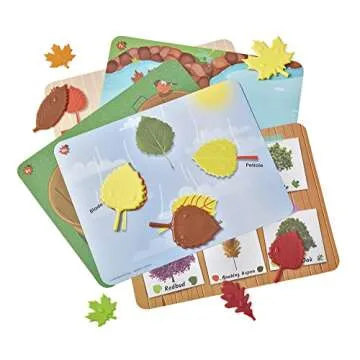 Hand2mind Sensory Leaves Math Set for Kids Learning
