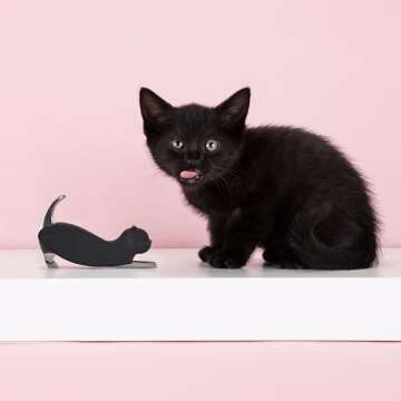 Allie the Black Cat Corkscrew - Fun Wine Opener for Halloween