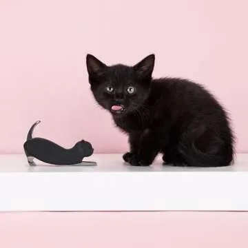 Allie the Black Cat Corkscrew - Fun Wine Opener for Halloween