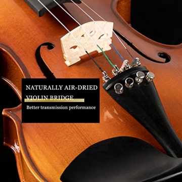 Ktaxon 4/4 Full Size Violin Set for Beginners and Kids
