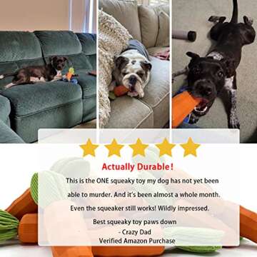 ETIAL Carrot Dog Toys for Aggressive Chewers Super Chewers Tough & Durable Rubber Indestructible Big Dog Chew Toys for Medium Large Breed