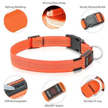 Illumifun LED Dog Collar USB Rechargeable Light Up Dog Collar, Reflective Pet Safety Collar Light Glow in The Dark (OrangeⅢ, Medium)