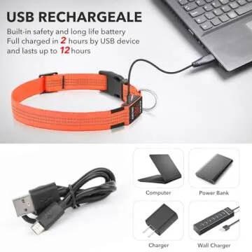 Illumifun LED Dog Collar USB Rechargeable Light Up Dog Collar, Reflective Pet Safety Collar Light Glow in The Dark (OrangeⅢ, Medium)
