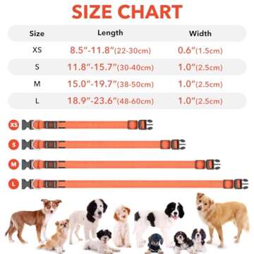 Illumifun LED Dog Collar USB Rechargeable Light Up Dog Collar, Reflective Pet Safety Collar Light Glow in The Dark (OrangeⅢ, Medium)