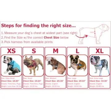 BULLHUG Adjustable Dog Harness – No Pull, No Choke – for Bulldogs & Pugs