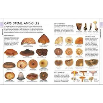 Mushrooms Identification Guide for Enthusiasts & Foragers