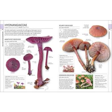 Mushrooms Identification Guide for Enthusiasts & Foragers