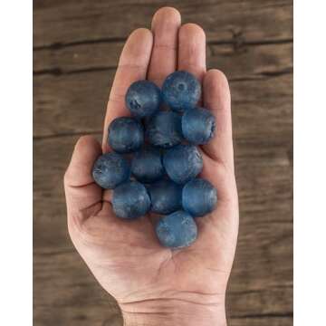 Jumbo Recycled Glass Beads - Beaded Wall Hangings - Extra Large African Sea Glass Beads 21-25mm - The Bead Chest (Light Blue)