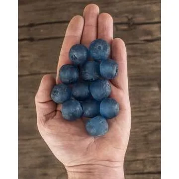 Jumbo Recycled Glass Beads - Beaded Wall Hangings - Extra Large African Sea Glass Beads 21-25mm - The Bead Chest (Light Blue)