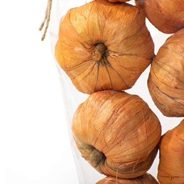 ANDALUCA Mini Pumpkins Perfect for Home Decor and Crafts