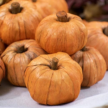 ANDALUCA Mini Pumpkins Perfect for Home Decor and Crafts