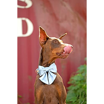 Adjustable Silk Blue Dog Collar with Bow for Small Pets