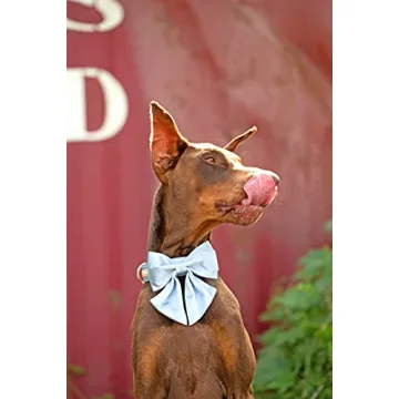 Adjustable Silk Blue Dog Collar with Bow for Small Pets