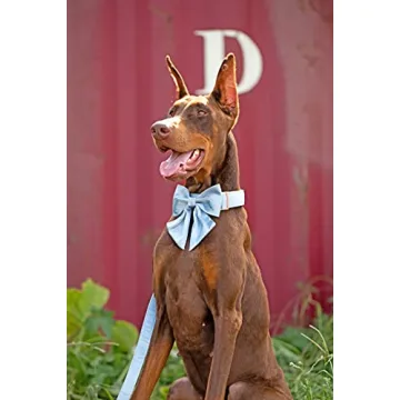 Adjustable Silk Blue Dog Collar with Bow for Small Pets