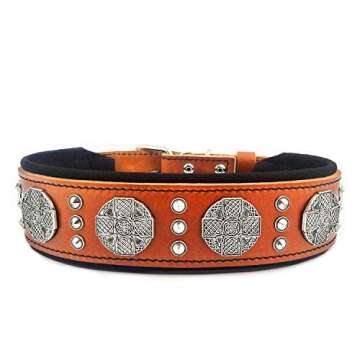 Bestia Maximus genuine leather dog collar, Large breeds, cane corso, Rottweiler, Boxer, Bullmastiff,...