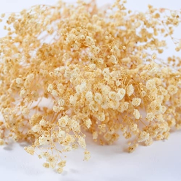 Birtlynn Preserved Baby's Breath - Lasting Floral Elegance