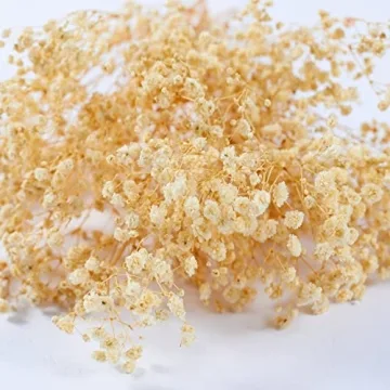 Birtlynn Preserved Baby's Breath - Lasting Floral Elegance