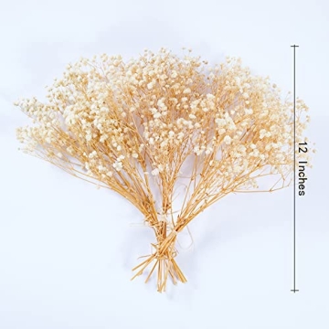 Birtlynn Preserved Baby's Breath - Lasting Floral Elegance