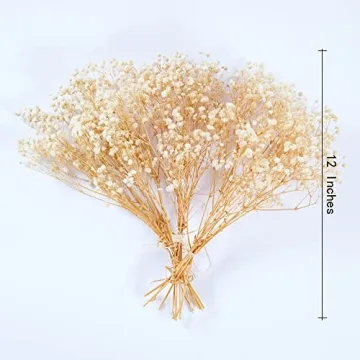 Birtlynn Preserved Baby's Breath - Lasting Floral Elegance