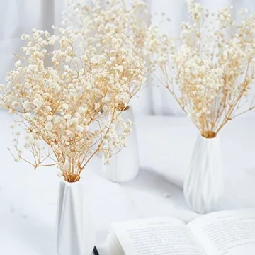 Birtlynn Preserved Baby's Breath - Lasting Floral Elegance