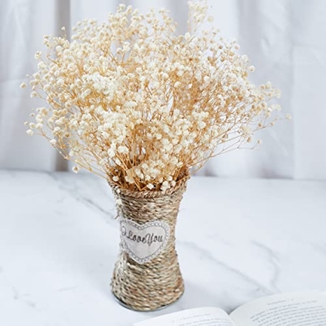 Birtlynn Preserved Baby's Breath - Lasting Floral Elegance