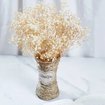 Birtlynn Preserved Baby's Breath - Lasting Floral Elegance