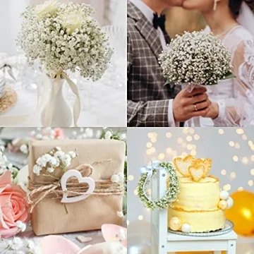 Birtlynn Preserved Baby's Breath - Lasting Floral Elegance