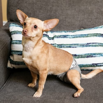 Pet Parents Washable Dog Diapers for All Breeds