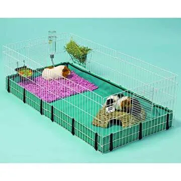 Spacious Guinea Habitat Cage for Happy Pets