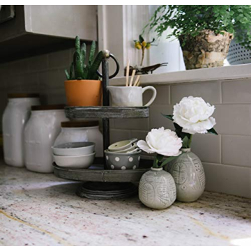 Charming 2-Tier Decorative Metal Tray - Rustic & Stylish