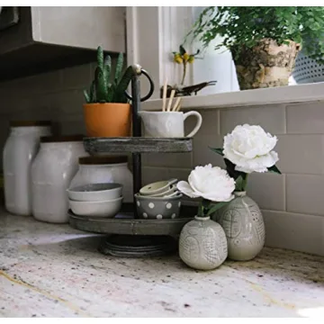 Charming 2-Tier Decorative Metal Tray - Rustic & Stylish