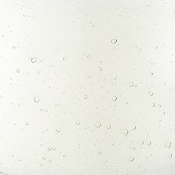 Paddywax Amber Coconut Scented Candle in Hand-Blown Glass