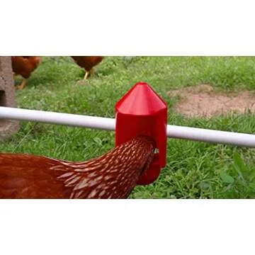 RentACoop Anti-Dirt Chicken Water Cup Covers - Compatible with Any RentACoop DIY Cups and Waterers - 6 Pack