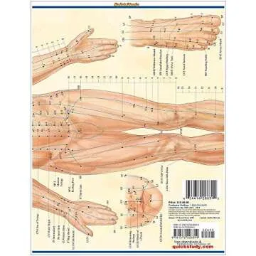 Acupressure Laminated Reference Guide (QuickStudy Academic)